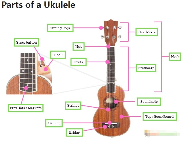 parts of a ukulele parts of a ukulele