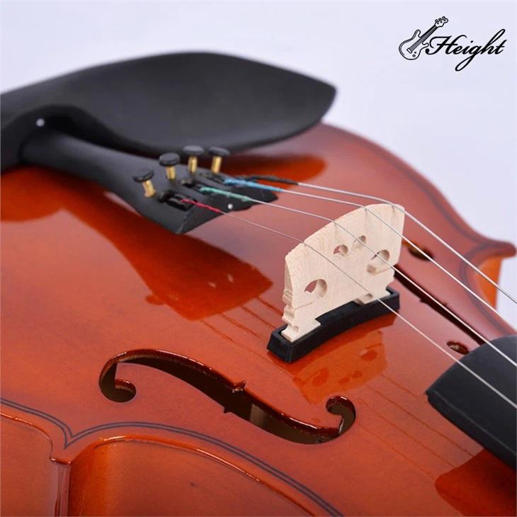 Full Size Glossy Violin